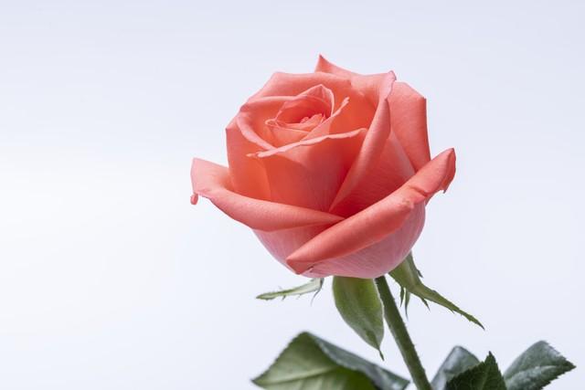 对老公寒心后，女人这么做，不离也能活得漂亮