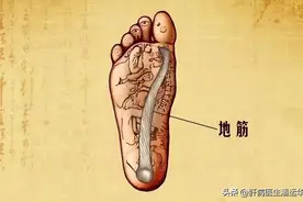 摸一摸脚底“长寿筋”，肝脏状况全知晓，揉开它，可舒肝养血！图片