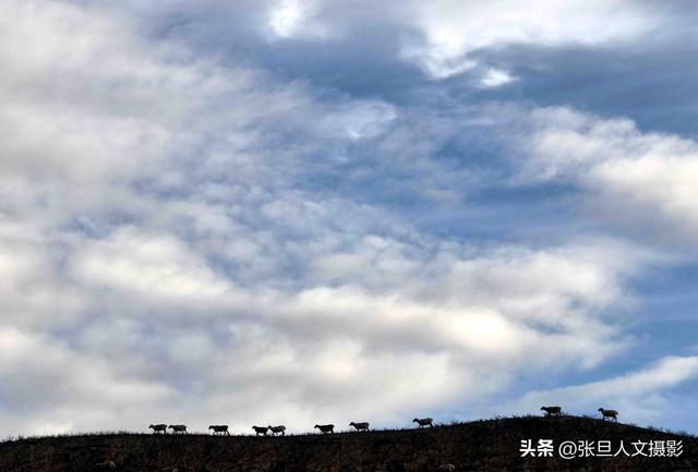 临汾摄协去新疆石河子文化交流 拍不够的美景 羊肉串和馕好吃 人更好