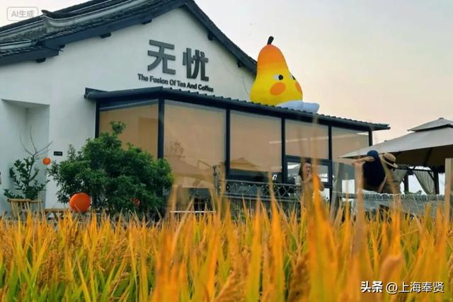 “乡”遇奉贤·青村镇篇丨拒绝假期特种兵！我选择在青溪当一名“慢生活博主”