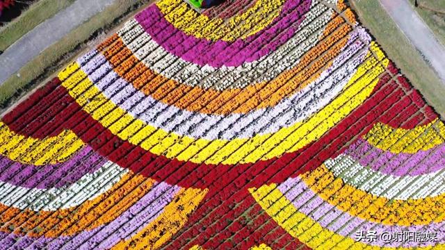 射阳秋冬顶流！出片率100%