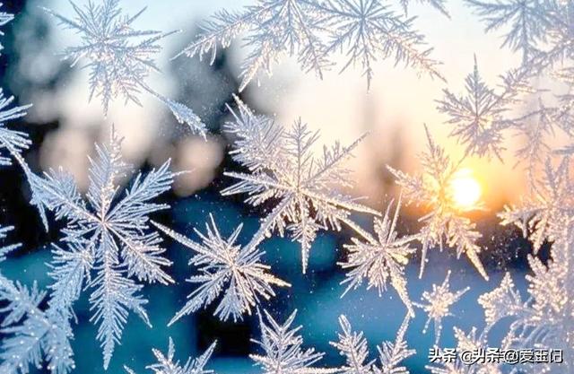 今日小雪，老人说“最怕小雪一日晴”，到底在怕什么？答案来了