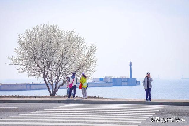 一条线路，尽揽梭鱼湾热血与活力！