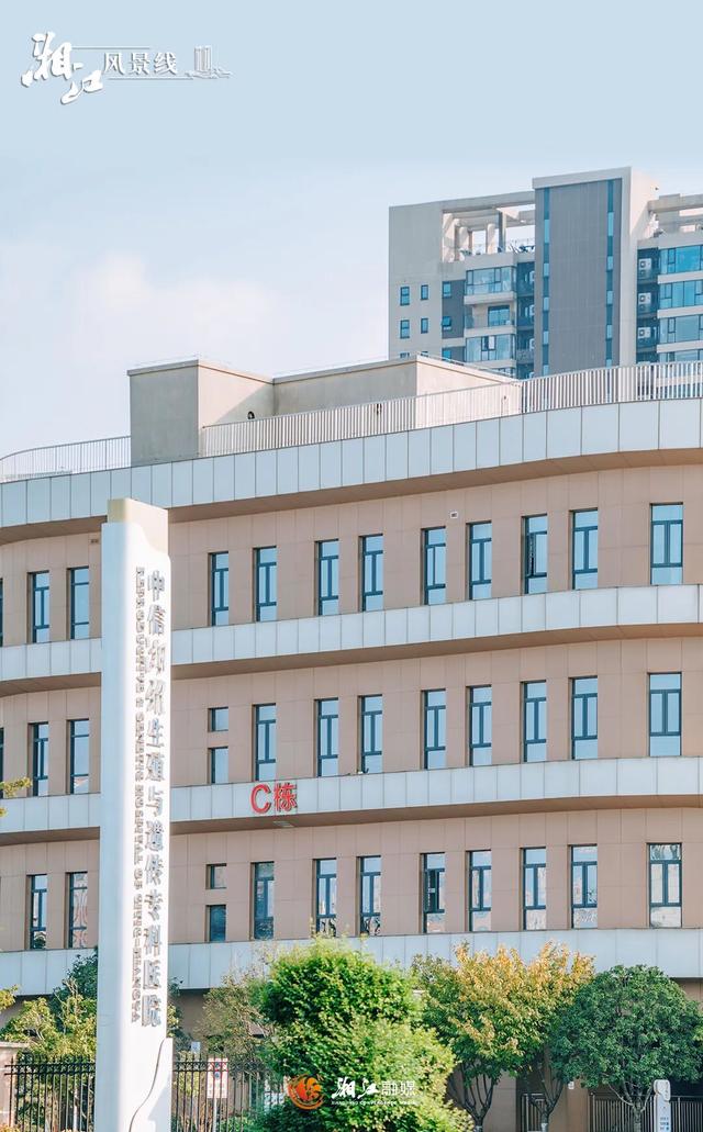 这样的桐梓坡，你一定没见过！