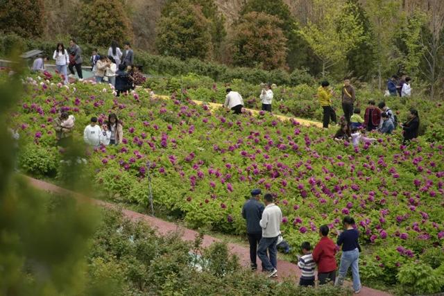 武都，“热”力全开🥰🥰