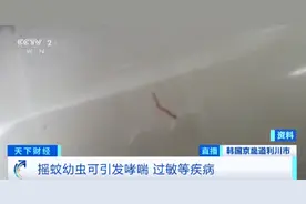 韩国一净水厂，检测出致病幼虫！市长道歉图片