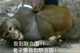 搞笑来袭，马喽表情包来一波，喜欢的快来保存表情包啦！图片