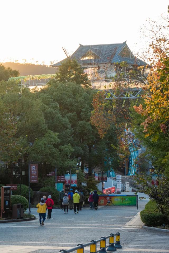 这个冬天，把印象大红袍的「空镜头」，存进你的取景框。