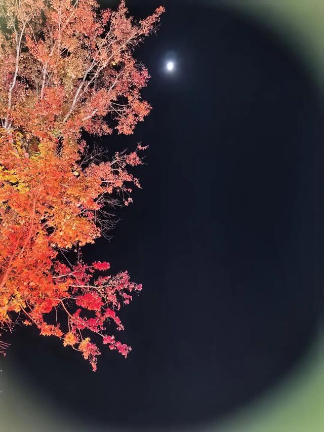 皖南初见（一）