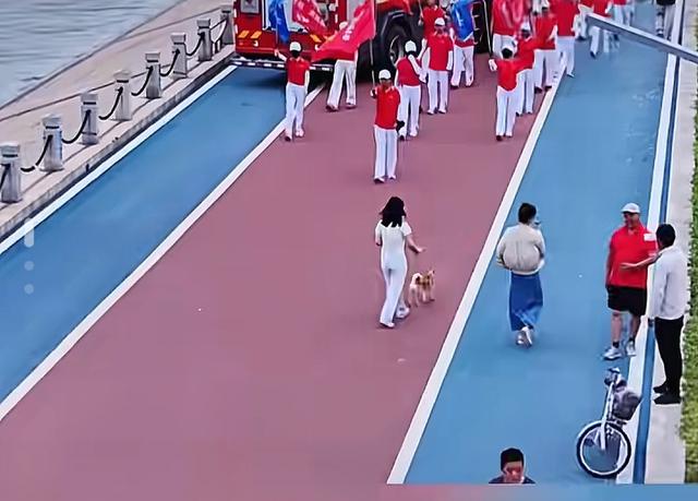 “暴走团”荧光服下的陷阱，谁在豢养“道路特权军团？