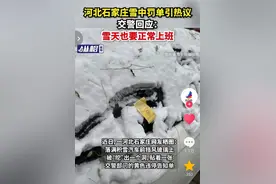 突发！交警雪天给车贴罚单，官方：雪天正常上班！评论区笑死我了图片