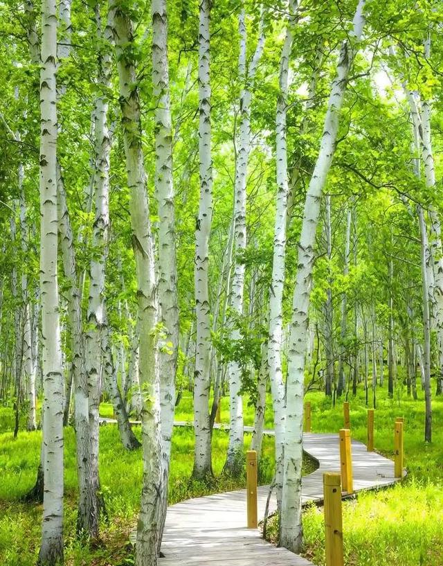 我是江苏人，全家一起来了趟辽宁辽阳，确实有点想不明白这四件事