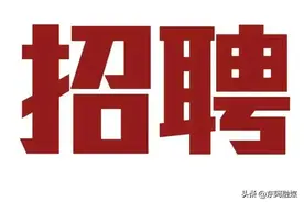 29人！聊城这所高校公开招聘教师图片