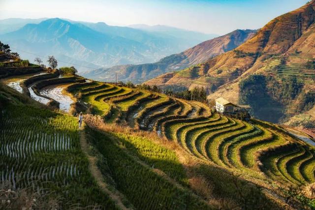 这些地方，把“吃”写成了姓名