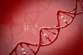 父母血型是怎样遗传给子女的？一张图看懂！图片