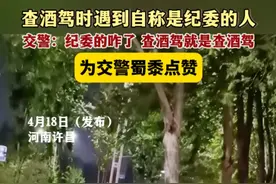 自称纪委的人倒霉了！违规饮酒干预执法被处分，网友担忧交警处境图片