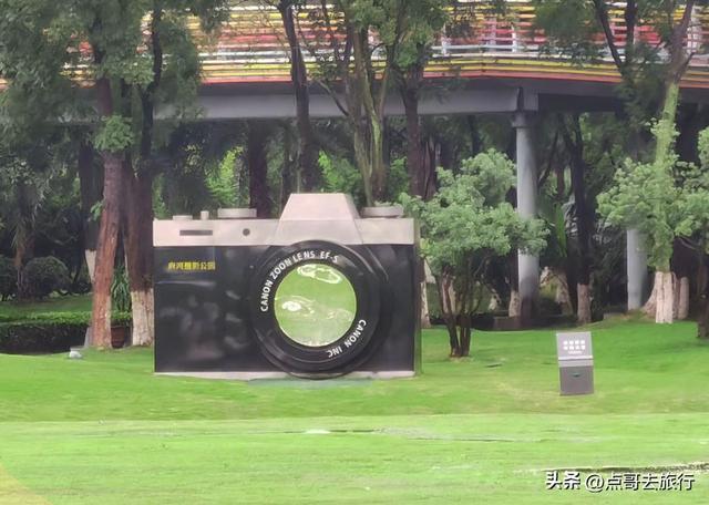 成都市内超级大草坪，美得让人惊叹，是摄影者的天堂，公交车直达