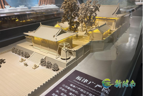 市博物馆暑期推出特色展览 丰富青少年文化生活