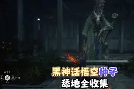 黑神话：悟空交给辰龙的种子都收集全了吗？12个植物种子攻略！图片