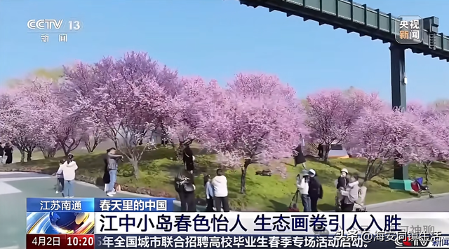 南通一网红小岛彻底火了！