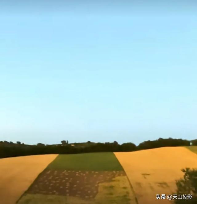一二三，风吹麦浪