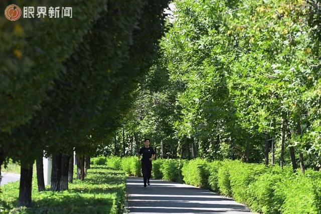 乌鲁木齐“含绿量”爆表了