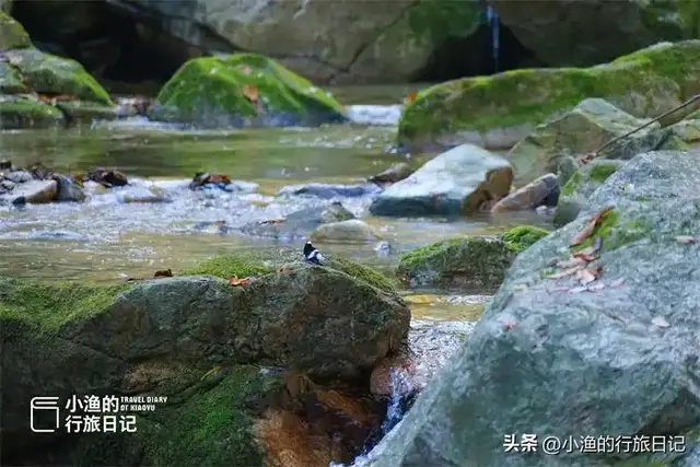 西安秦岭最美峪口之一，把山水玩到了极致！秋色正浓，就现在！