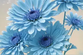 你真我就真，你假我转身！若记住这16条交往铁律，从此不吃亏受气图片