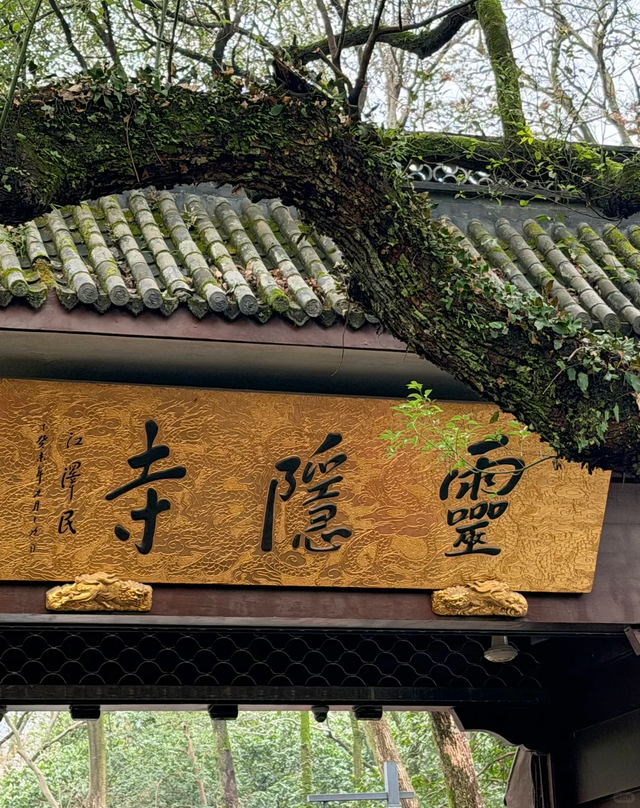 被问爆了！五一反向小众的“杭甬双城记”，不挤人海只享惬意！