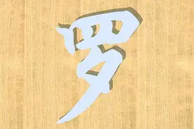 广东十大姓氏之一罗氏图片