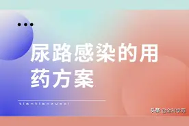 尿路感染的用药方案——收藏学习图片