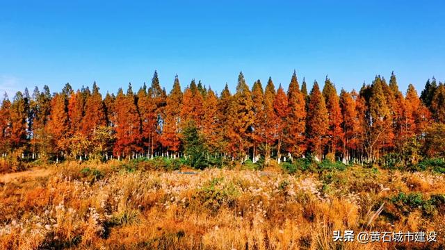 拍照绝美！就在黄石这里 快去打卡吧！