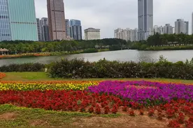 说说含“一”字的成语大世界图片