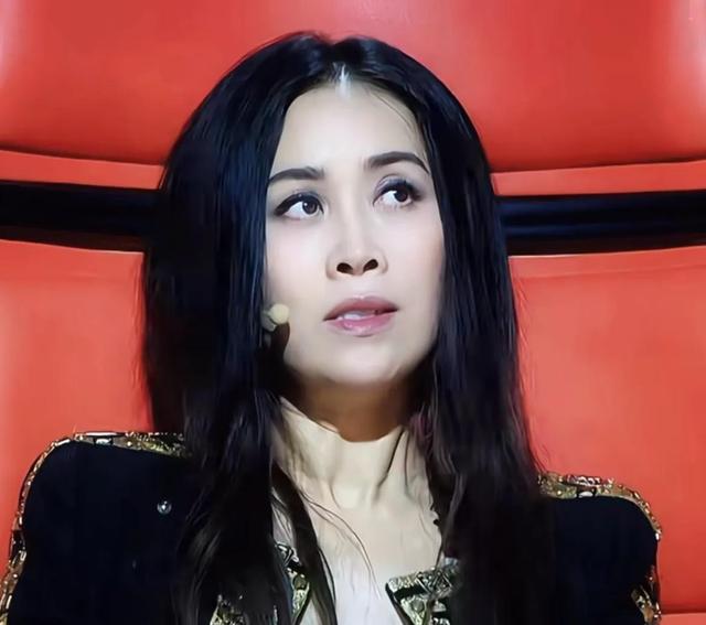 出轨风波真相大白仅2个月，那英近况曝出	，马伊琍一个字都没说错