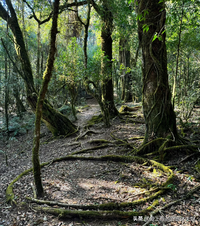 云南临沧：充满神秘感的滇红之都、世界佤乡，但却有自己的短板