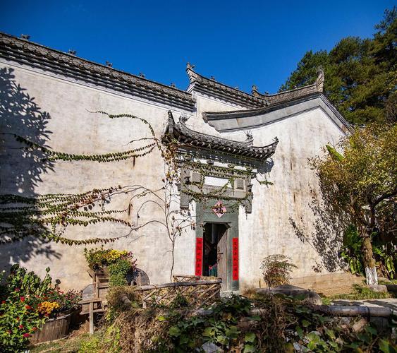 「窝囊旅游」7天腰不酸腿不累，预算省下一半！懒人避暑指南火了