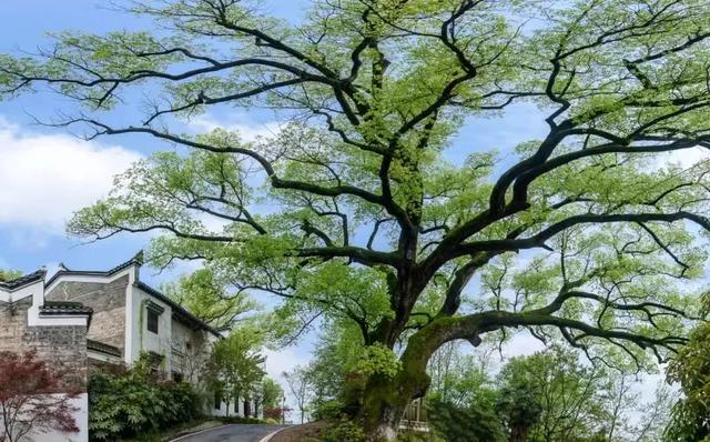 欢迎江苏游客!逛完永州逛醴陵~