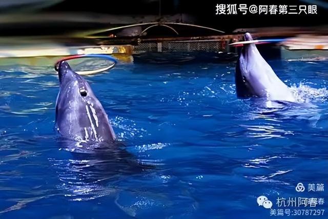 大连 之海洋世界