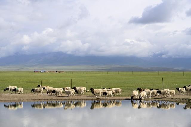 2026年对白羊座来说，是一场盛大的“好运狂欢”