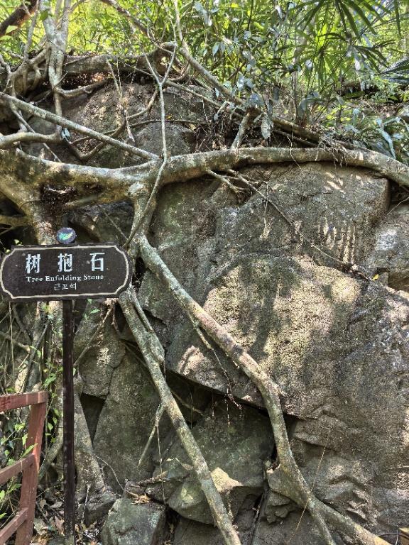 海南之行（之三）