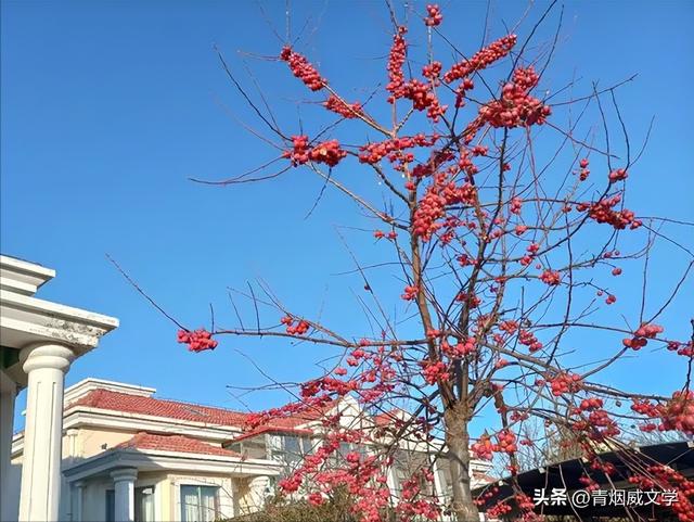 如鱼水 云南九乡游记（外三首）