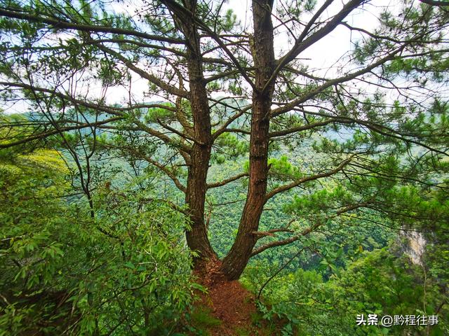 老人岩与磨刀岩：走过万仞崖壁之间不足一尺宽的险峻小道