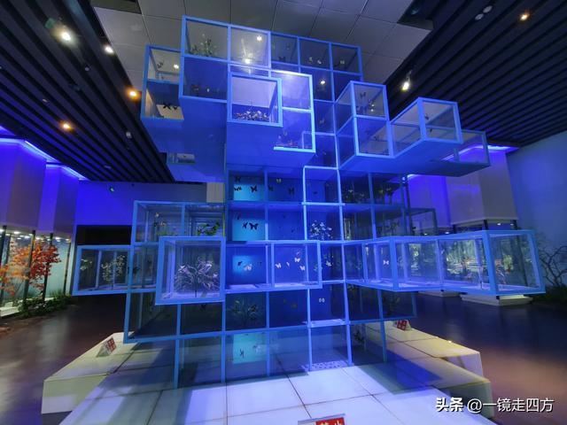 通化市自然博物馆