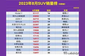 太惨了，8月SUV销量榜，宋PLUS丢冠，H6第9，逍客仅第56名图片
