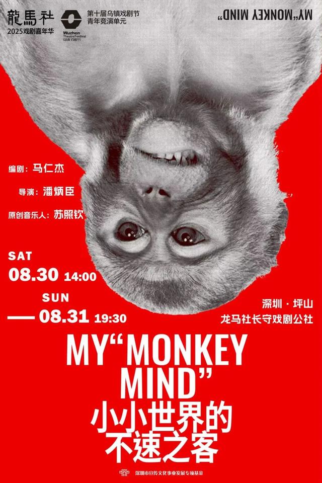 不止于微醺！快来定义属于你的坪山仲夏夜夜夜yeah！