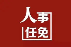 西安最新人事任免图片