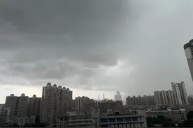 广州一秒天黑！最新！台风“蝴蝶”路径有变！或在广东徐闻沿海登陆图片