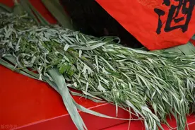 "艾草三不挂，挂了不安康"！端午挂艾草别犯忌，老一辈讲究不能忘图片