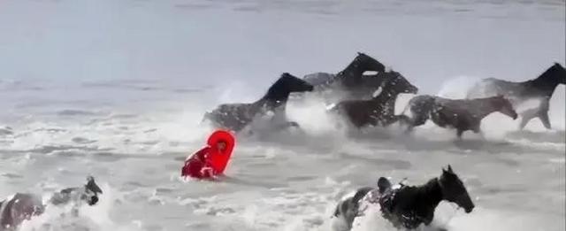 查了贺娇龙的背景重大大发现，官媒下场证实，她走了父母的老路