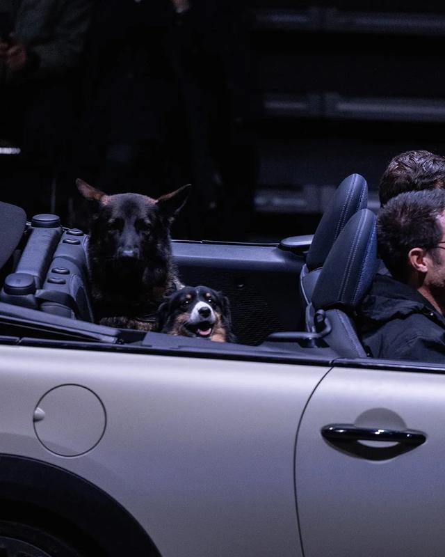 在瑞典，我们采访了世界上浪得最高的男人